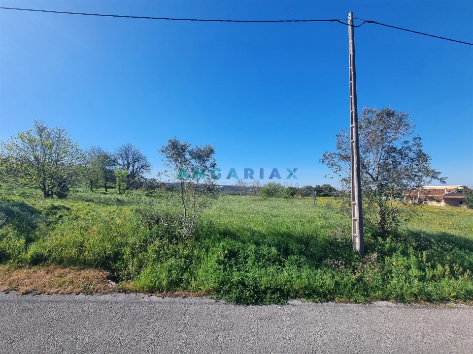 Terreno para Venda em Colmeias e Memória Foto 8