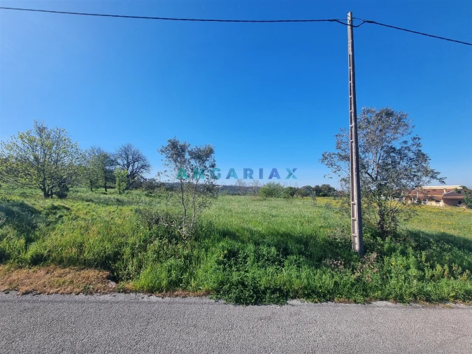 Terreno para Venda em Colmeias e Memória Foto 8