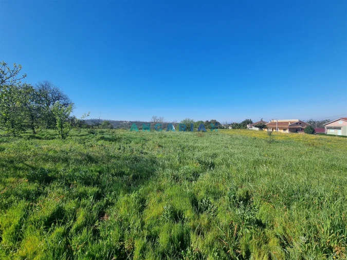 Terreno para Venda em Colmeias e Memória Foto 9