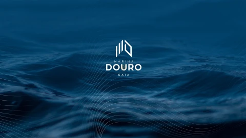 Apartamento T4 para Venda em Santa Marinha e São Pedro da Afurada