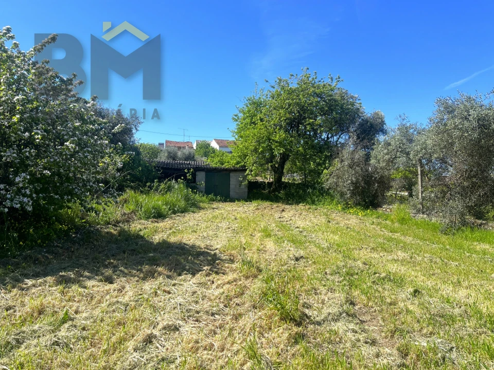 Moradia T3 para Venda em Cebolais de Cima e Retaxo Foto 37