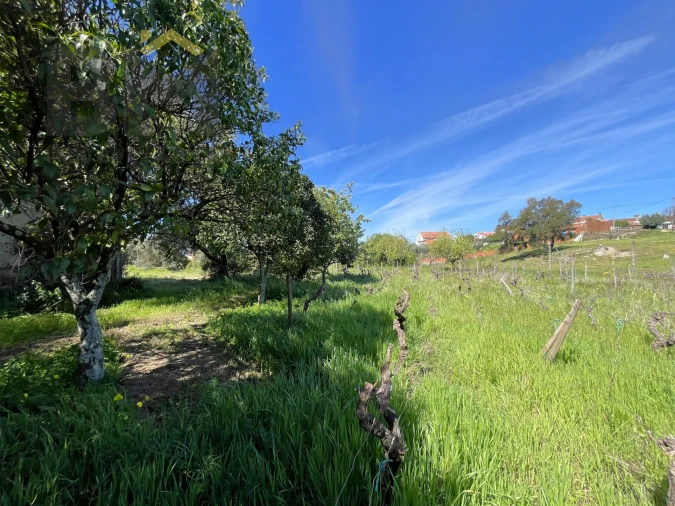 Moradia T3 para Venda em Cebolais de Cima e Retaxo Foto 40