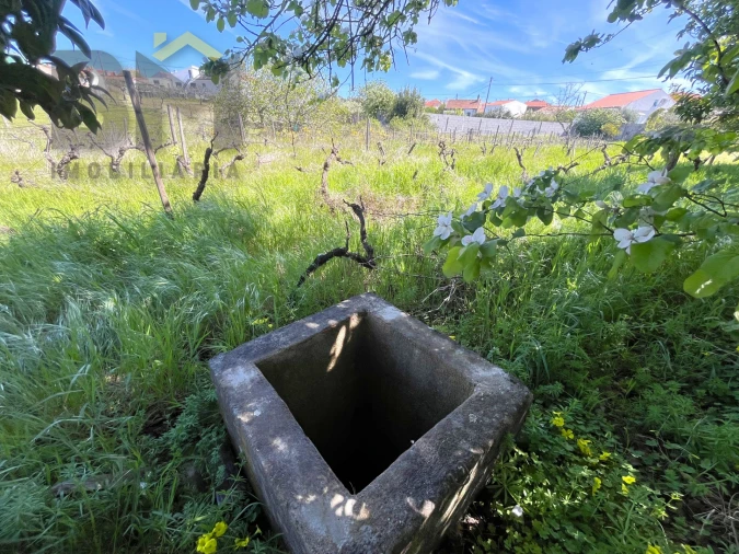 Moradia T3 para Venda em Cebolais de Cima e Retaxo Foto 39