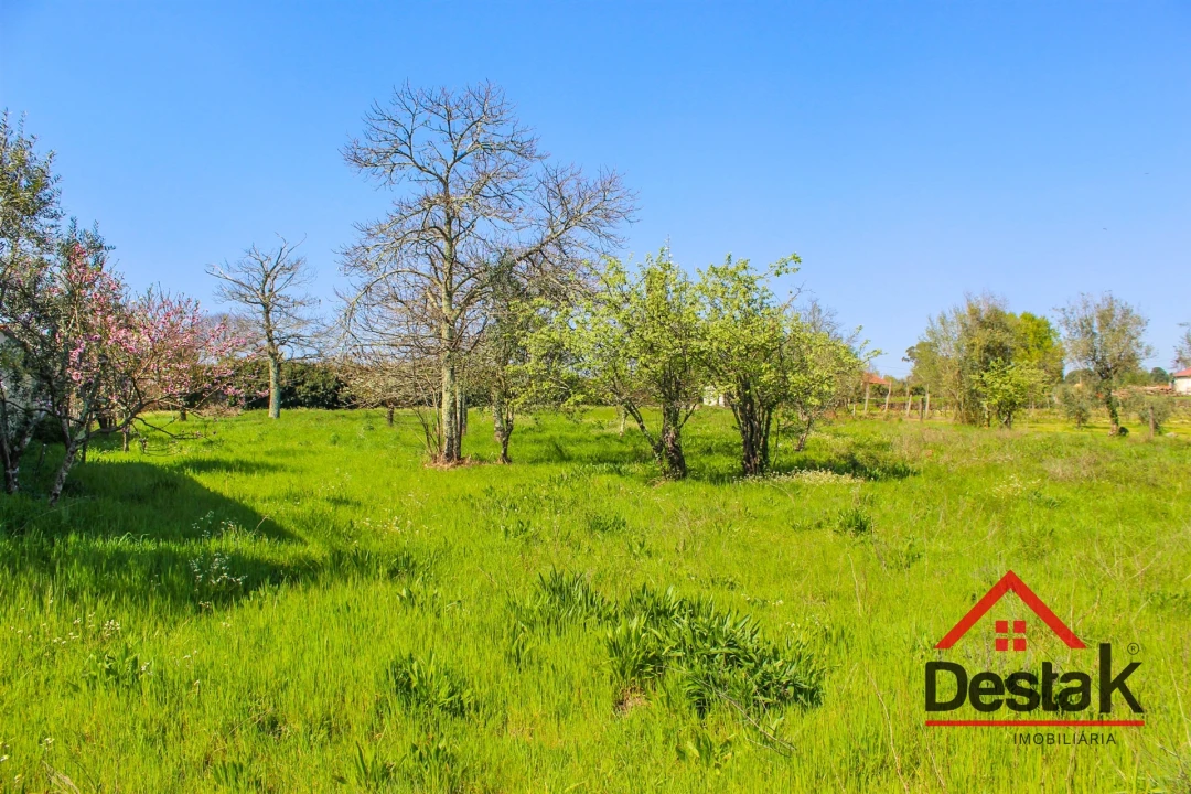 Terreno para Venda em Povolide Foto 19
