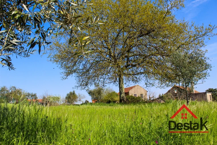 Terreno para Venda em Povolide Foto 11