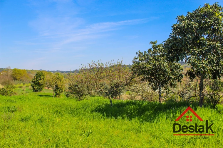 Terreno para Venda em Povolide Foto 18