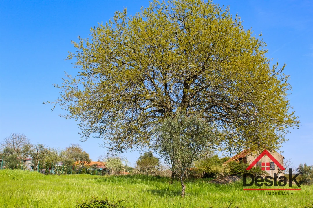 Terreno para Venda em Povolide Foto 12