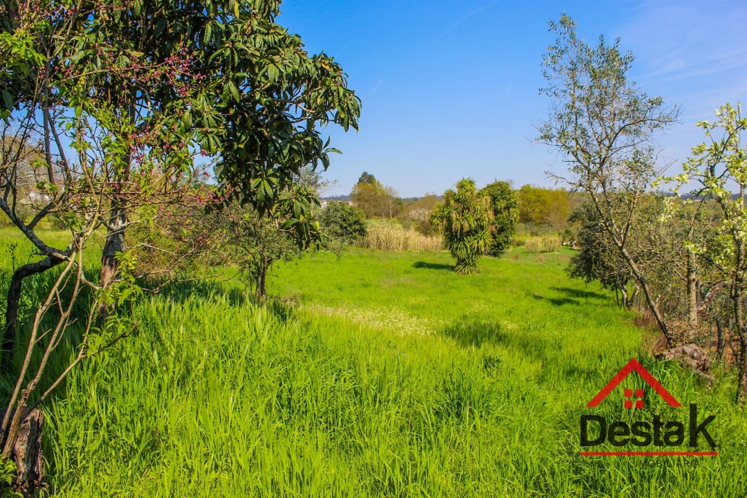 Terreno para Venda em Povolide Foto 16