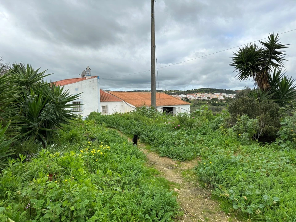 Quinta T2 para Venda em Lagos (São Sebastião e Santa Maria) Foto 16