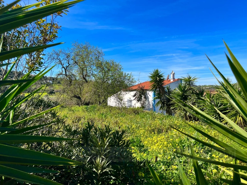 Quinta T2 para Venda em Lagos (São Sebastião e Santa Maria) Foto 4