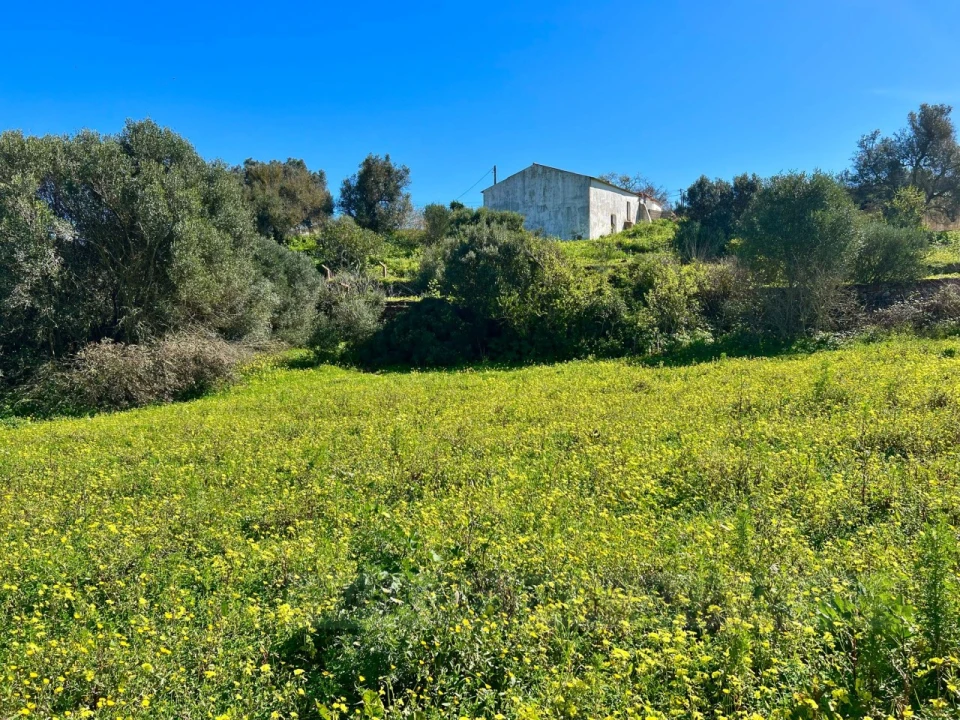 Quinta T2 para Venda em Lagos (São Sebastião e Santa Maria) Foto 8
