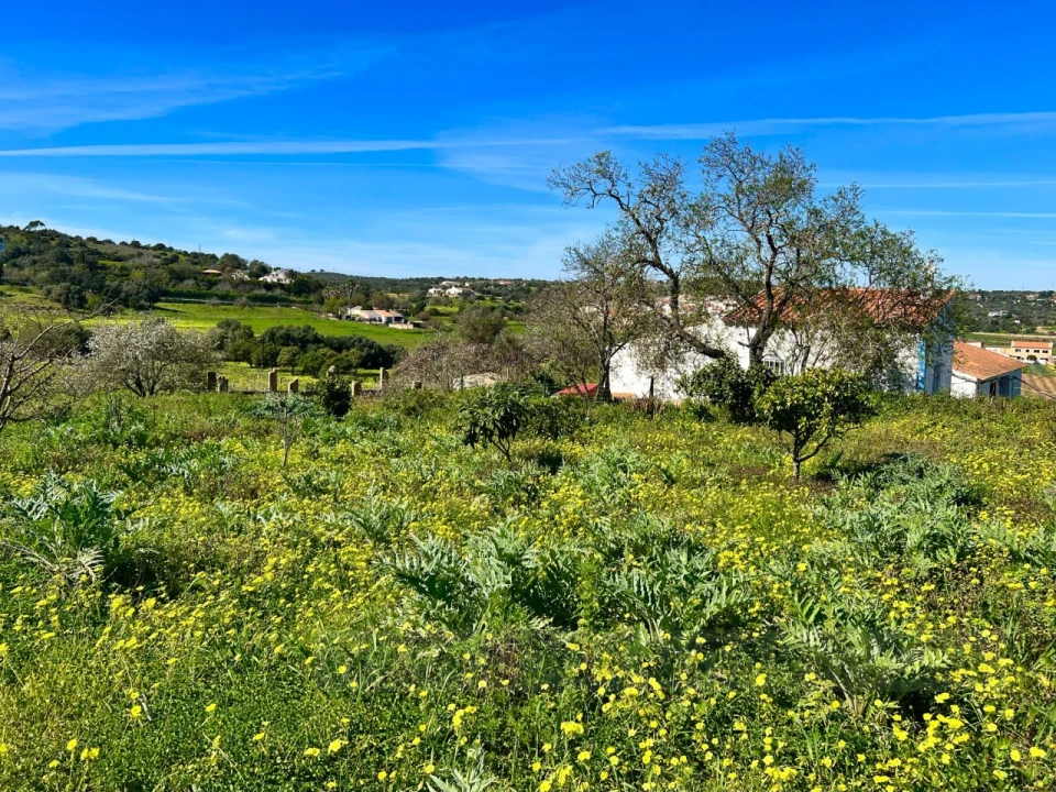 Quinta T2 para Venda em Lagos (São Sebastião e Santa Maria) Foto 21