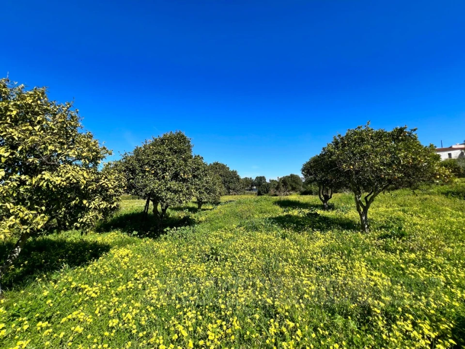 Quinta T2 para Venda em Lagos (São Sebastião e Santa Maria) Foto 30