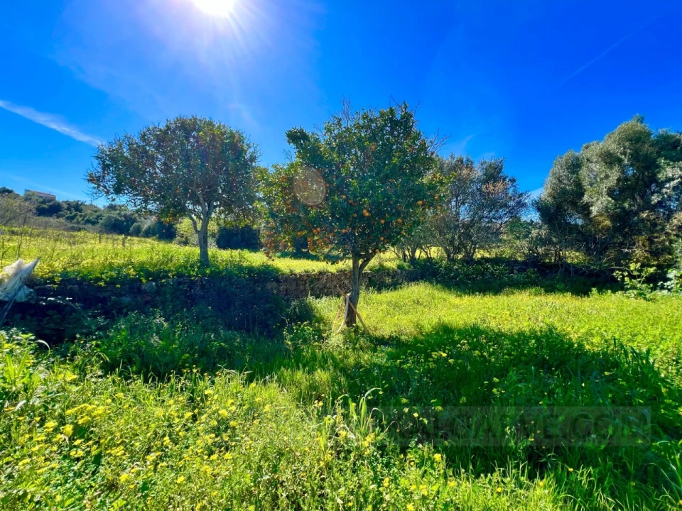 Quinta T2 para Venda em Lagos (São Sebastião e Santa Maria) Foto 32