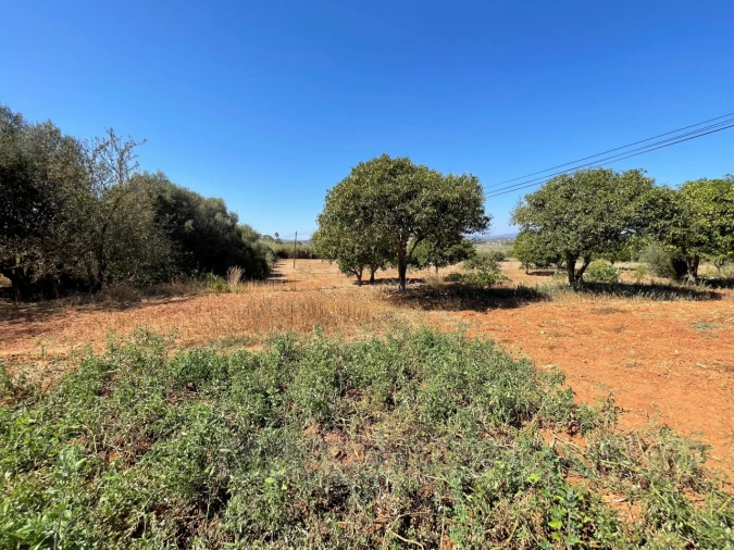 Quinta T2 para Venda em Lagos (São Sebastião e Santa Maria) Foto 15