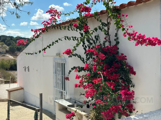 Quinta T2 para Venda em Lagos (São Sebastião e Santa Maria) Foto 17