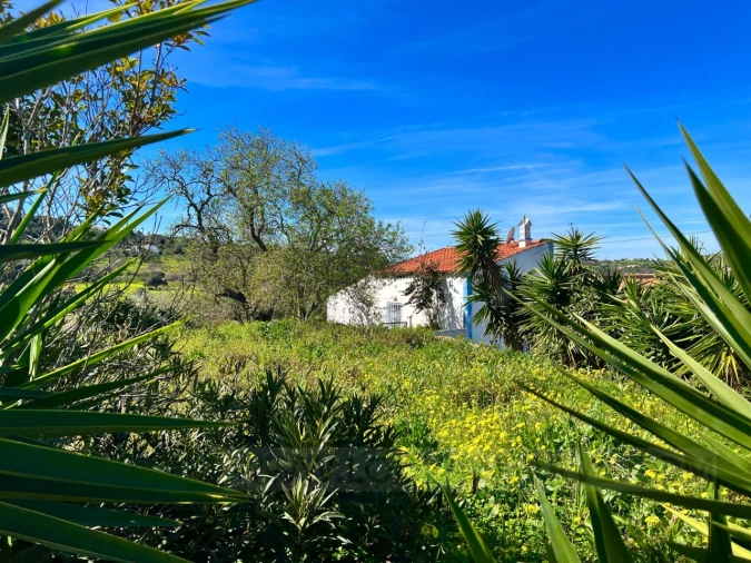 Quinta T2 para Venda em Lagos (São Sebastião e Santa Maria) Foto 4
