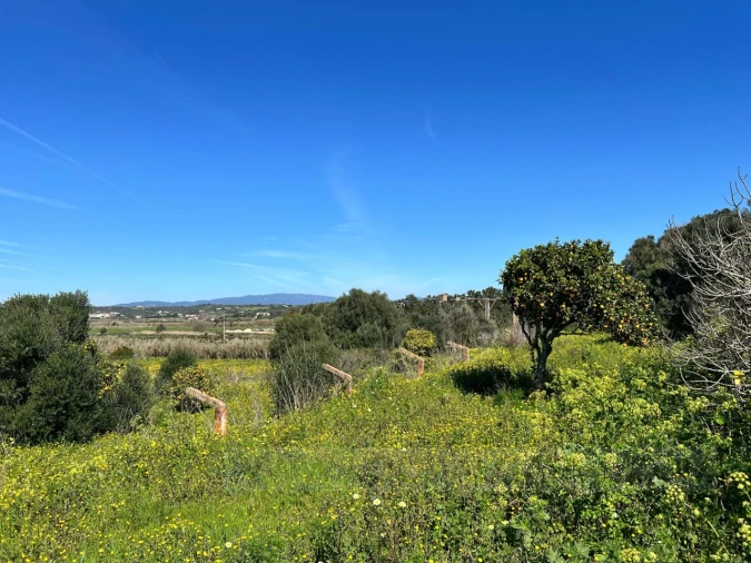 Quinta T2 para Venda em Lagos (São Sebastião e Santa Maria) Foto 31