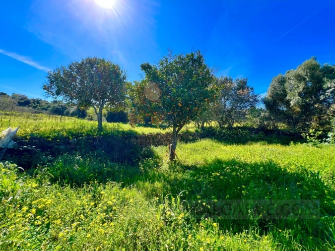 Quinta T2 para Venda em Lagos (São Sebastião e Santa Maria) Foto 32