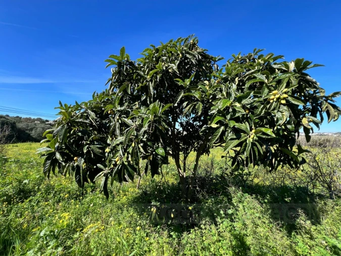 Quinta T2 para Venda em Lagos (São Sebastião e Santa Maria) Foto 35