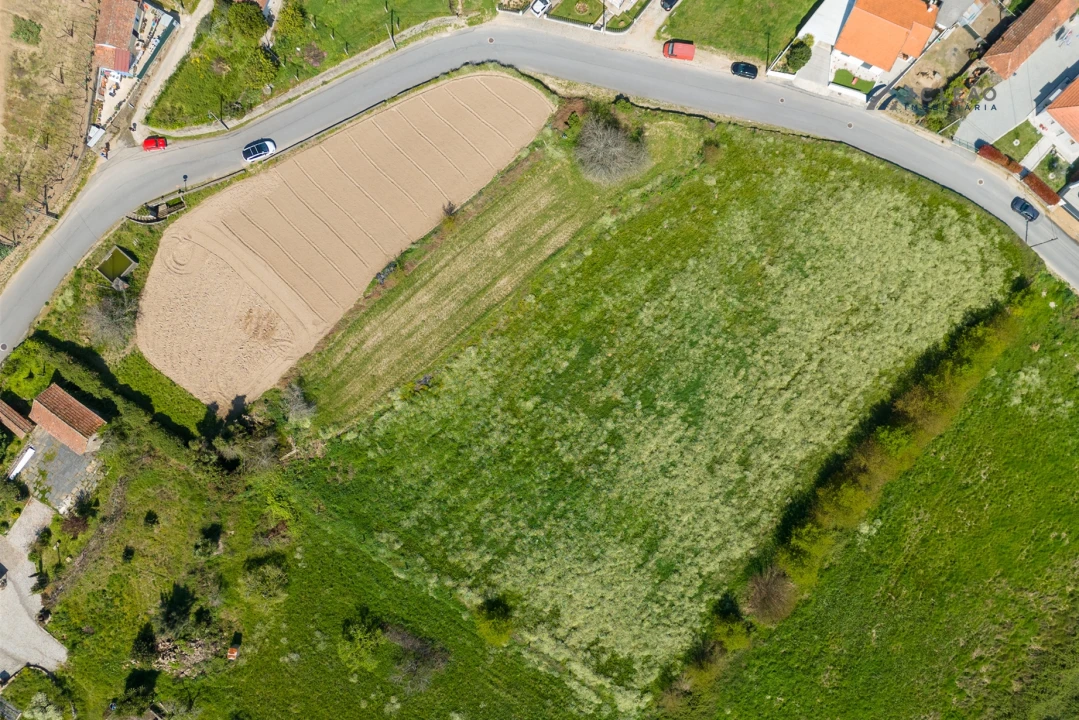 Terreno para Venda em Paredes Foto 9