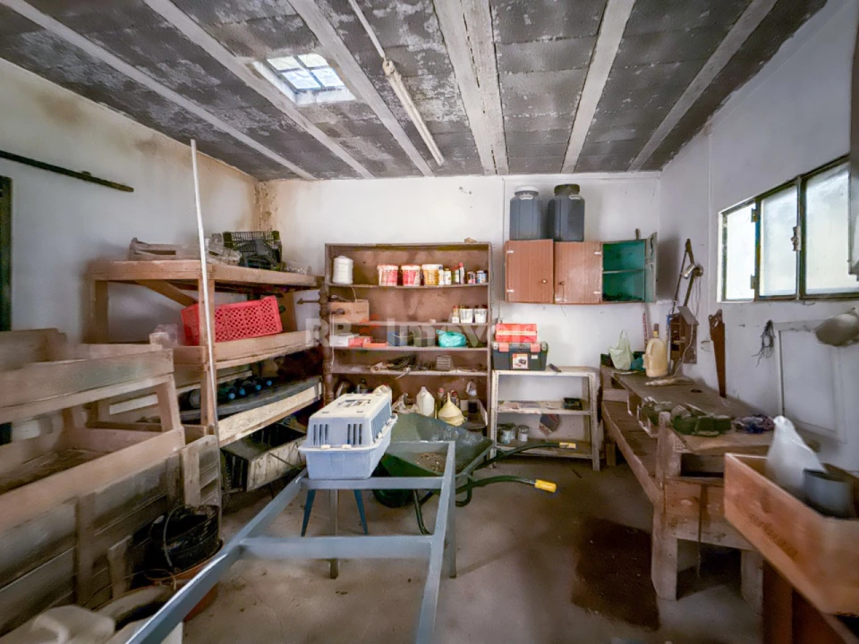 Moradia T2 para Venda em Paialvo Foto 59