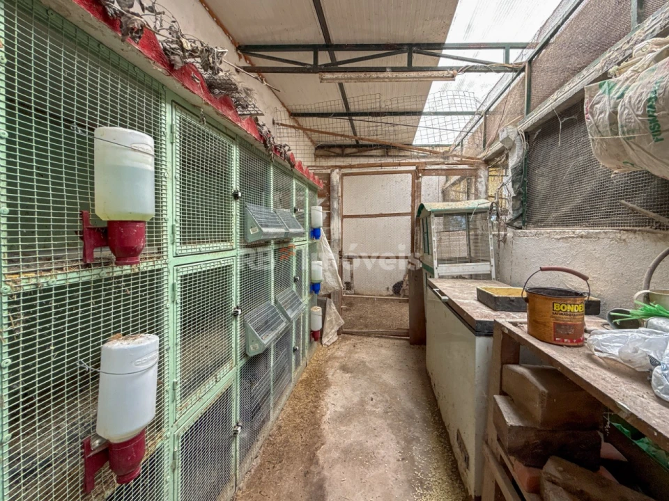 Moradia T2 para Venda em Paialvo Foto 61