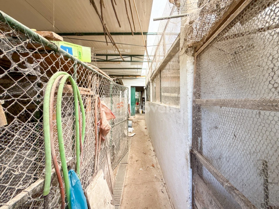 Moradia T2 para Venda em Paialvo Foto 62