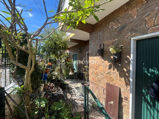 Moradia T2 para Venda em Paialvo Foto 79