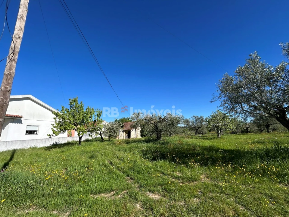 Terreno para Venda em Casais e Alviobeira Foto 2