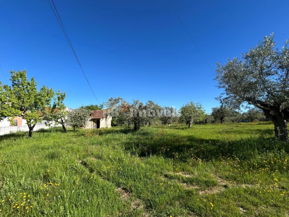 Terreno para Venda em Casais e Alviobeira Foto 3