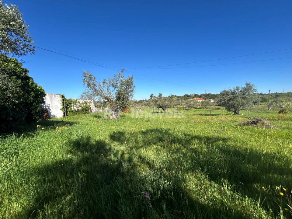 Terreno para Venda em Casais e Alviobeira Foto 5