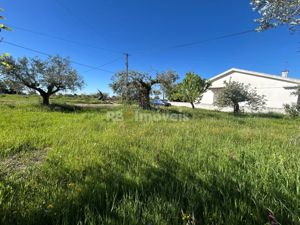 Terreno para Venda em Casais e Alviobeira Foto 1