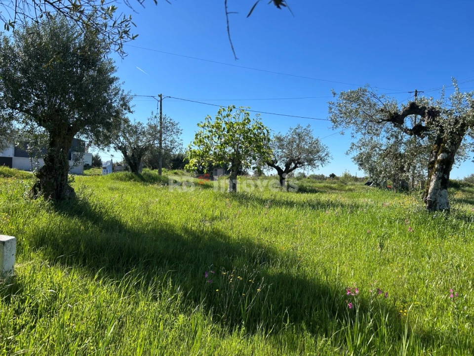 Terreno para Venda em Casais e Alviobeira Foto 8