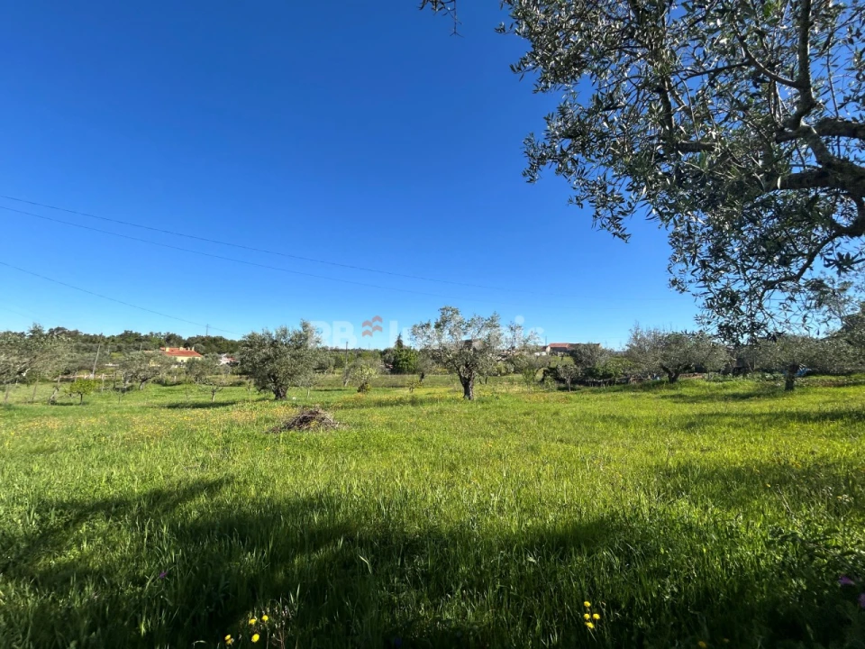 Terreno para Venda em Casais e Alviobeira Foto 10