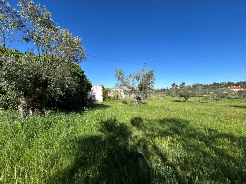 Terreno para Venda em Casais e Alviobeira Foto 12