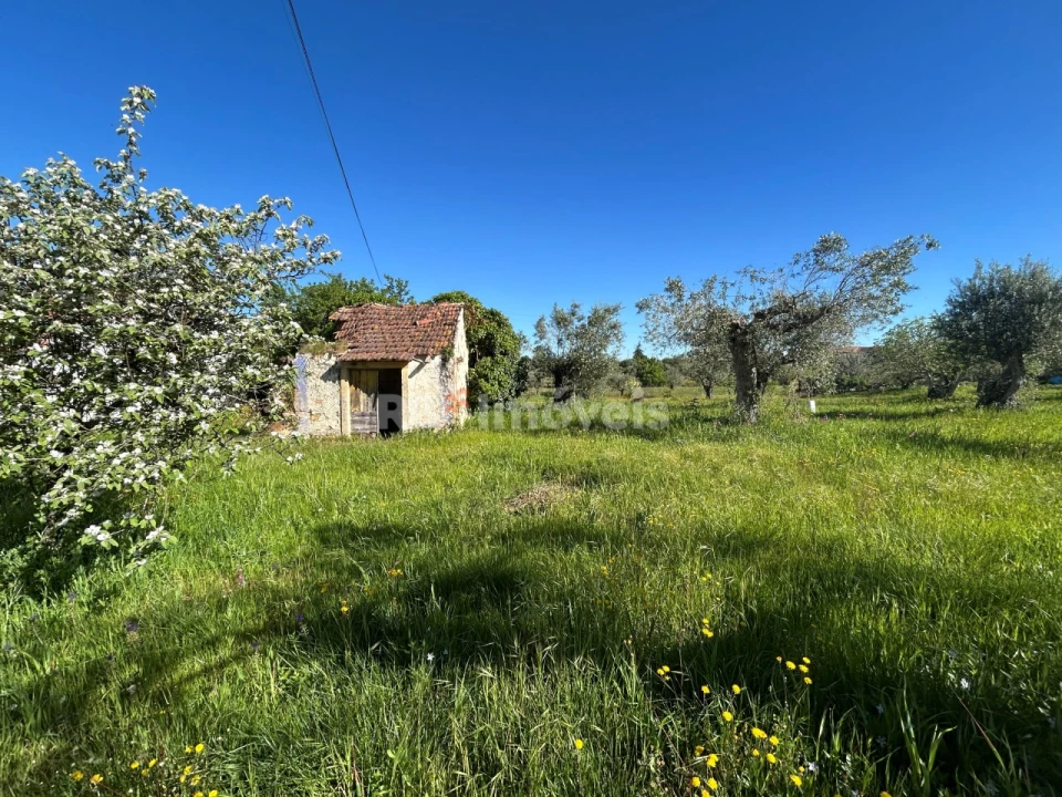 Terreno para Venda em Casais e Alviobeira Foto 17