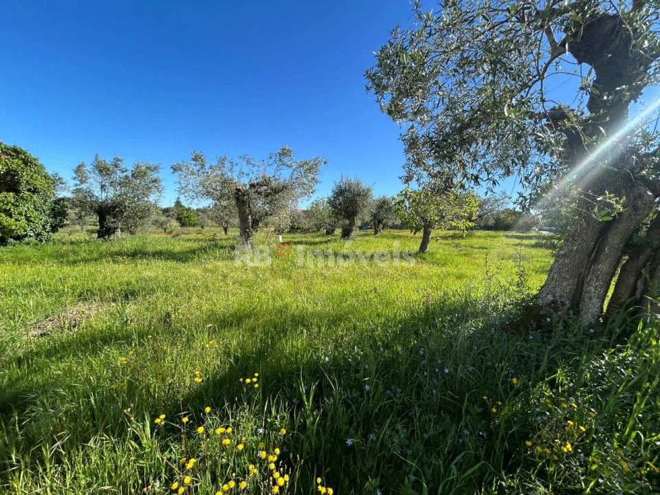Terreno para Venda em Casais e Alviobeira Foto 21