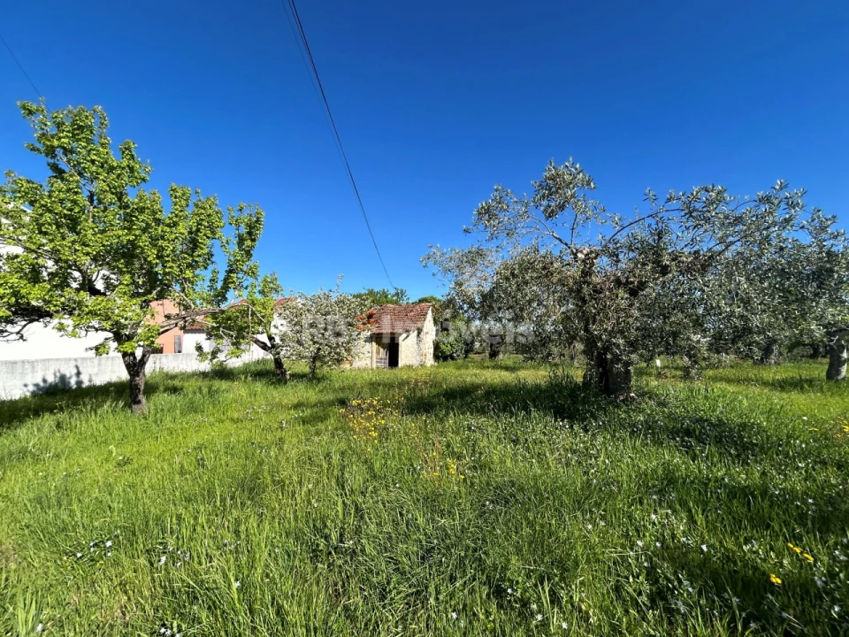 Terreno para Venda em Casais e Alviobeira Foto 22