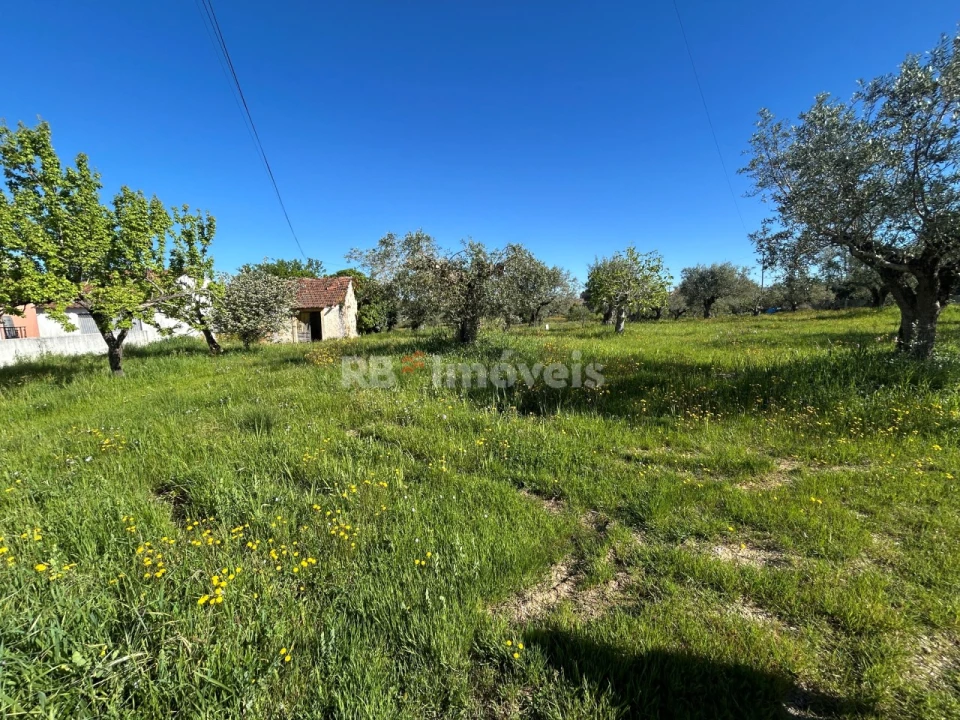 Terreno para Venda em Casais e Alviobeira Foto 23