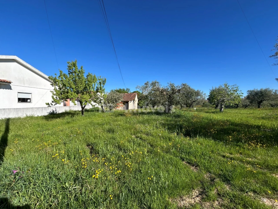 Terreno para Venda em Casais e Alviobeira Foto 24