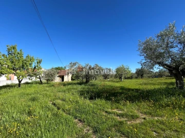 Terreno para Venda em Casais e Alviobeira