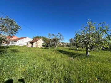 Terreno para Venda em Casais e Alviobeira