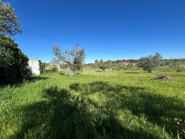 Terreno para Venda em Casais e Alviobeira