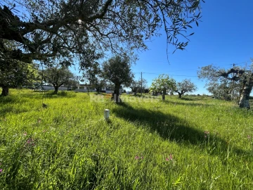 Terreno para Venda em Casais e Alviobeira
