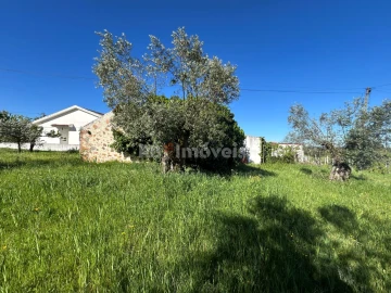Terreno para Venda em Casais e Alviobeira