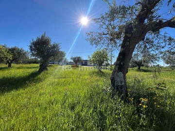 Terreno para Venda em Casais e Alviobeira