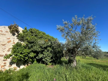 Terreno para Venda em Casais e Alviobeira