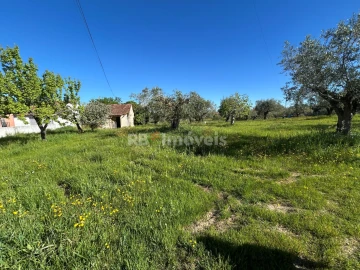 Terreno para Venda em Casais e Alviobeira