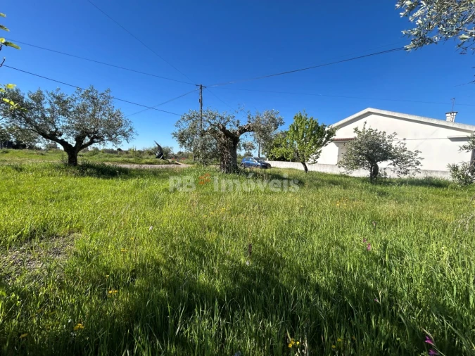 Terreno para Venda em Casais e Alviobeira